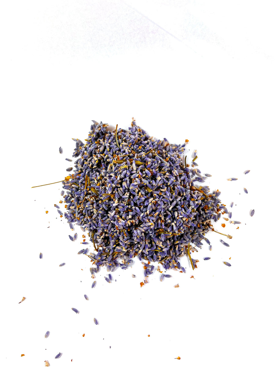 DRIED PACIFIC BLUE LAVENDER
