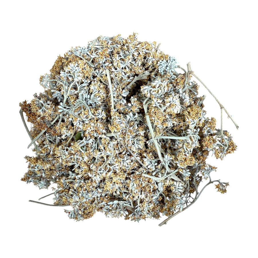 DRIED KŪMARAHOU FLOWER & STEM